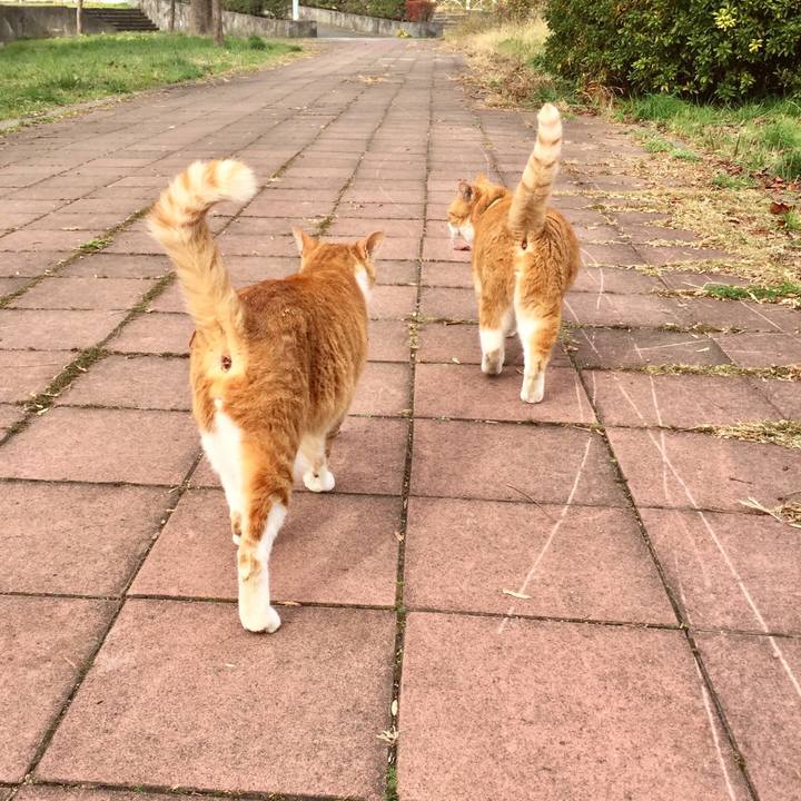 05655bc4 b571 474f a116 3ed91e79b366 1544421486449