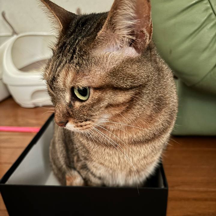 05657ae7 aee1 4163 8e19 b622f02d6a06 1711579738077