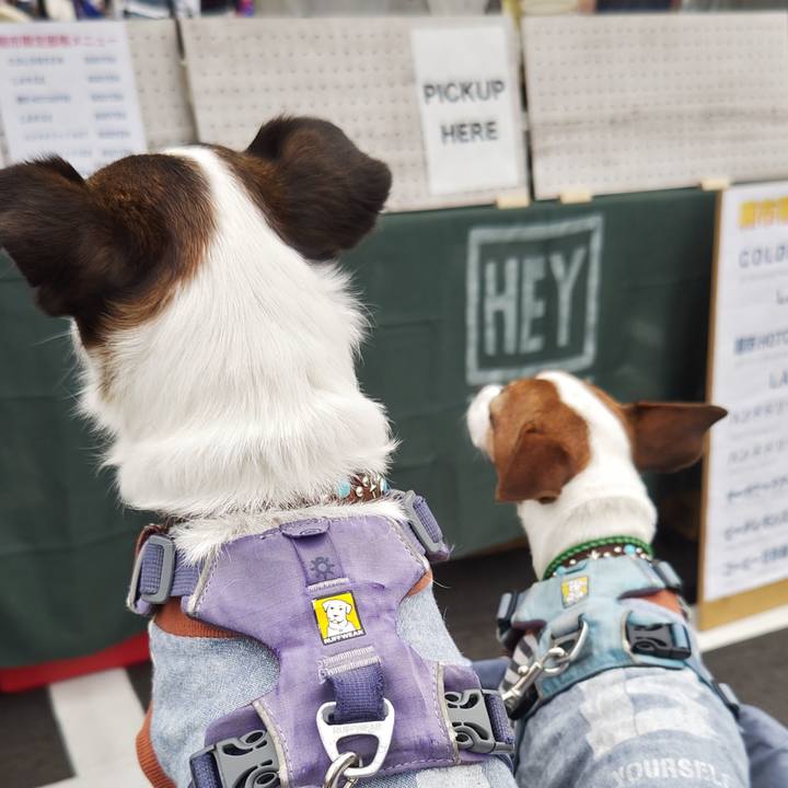 05658e1f 438c 4376 8749 072f1d4584d9 1749355419810