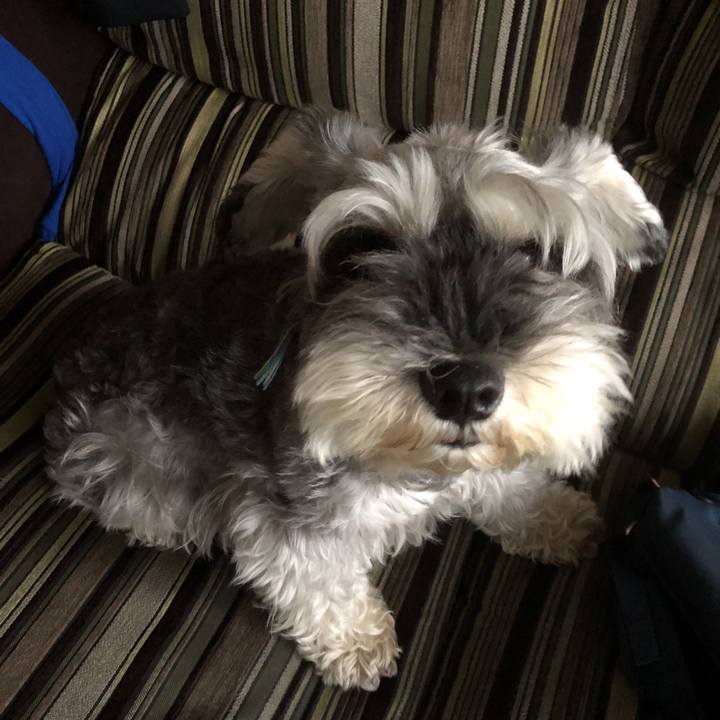 0565bf14 a940 4750 934b 0038616ced34 1562472216813