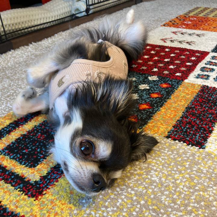 0565c1fa e016 487d 9558 7c5bb9f1a7af 1712485963786