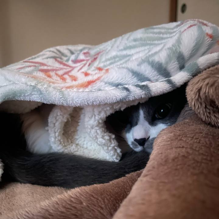 0565ca66 a24a 4cba 9b3f b6878f2ccd43 1702768030599