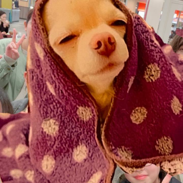 0565cdb3 547c 43fb a812 b395714b5489 1711265856753