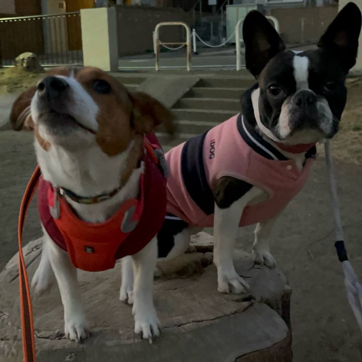 0565ddb8 bd2e 4545 bf81 db938307d1de 1737895602804