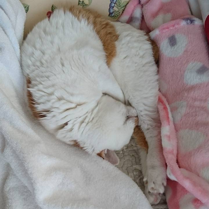 05662863 5b66 4192 8328 77c674c76ff5 1556425869859