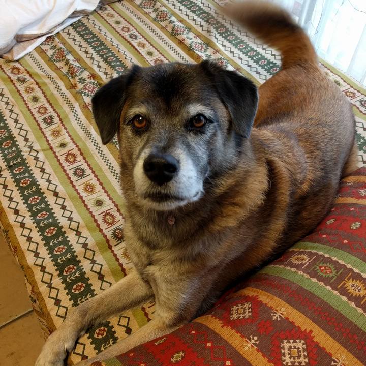 0566a6d0 a427 46cd 994c 6bf13d81f34e 1508367911823