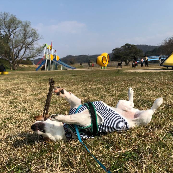 0566e9b5 65bb 4254 bb60 7fcc64e4531b 1584617301576