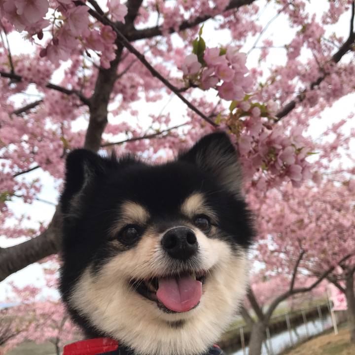 0566ee17 34f5 4d08 9db9 8bfc9192b767 1583629711390