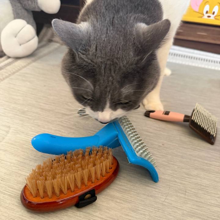 05672d09 9b09 4b72 b801 cf66a9816d2a 1771739183023