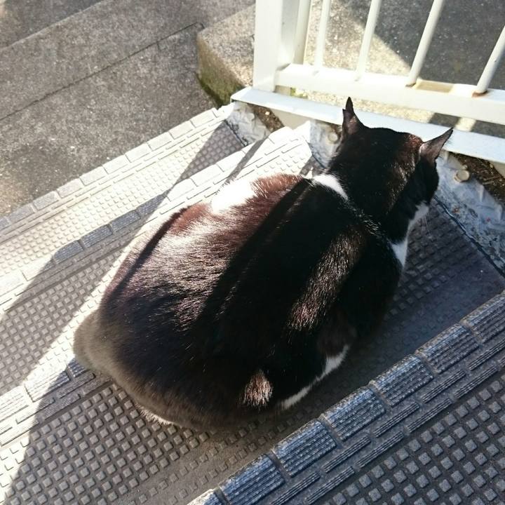 05676829 53e8 471c 9805 35084b3892d4 1513995433243