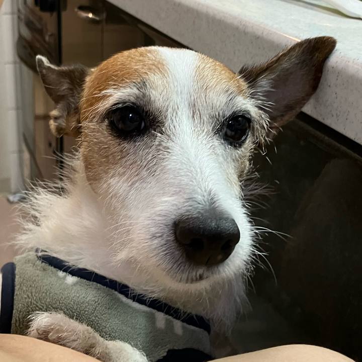 05676d1c ebdf 4c95 82ae 90268ae06de4 1666912876783