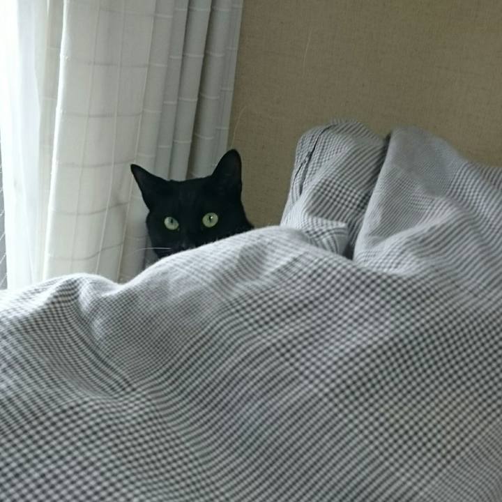 05679037 1d6c 40e6 8a9c 57b2a6a3fbaa 1522551336144