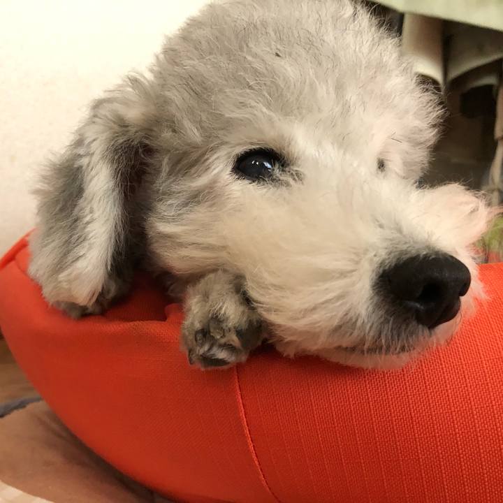 0567b7ef f17a 448d 8f11 22cd7ac0f88e 1571539938055