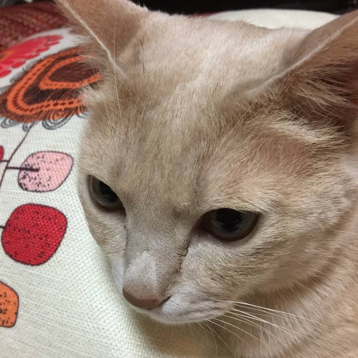 0567c1b9 ba87 41ba 9242 ced243df7604 1584761782667