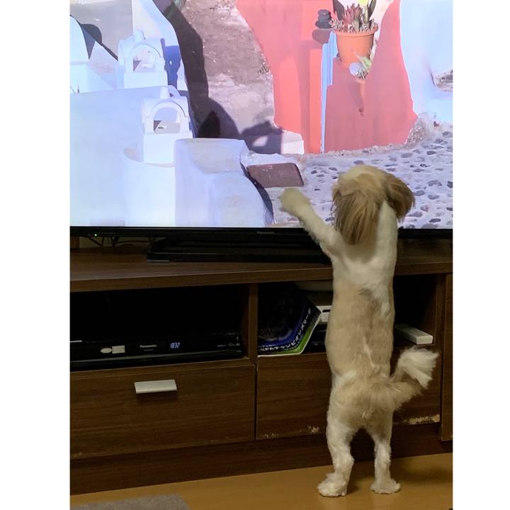 0567fae3 95dc 47ef 91b6 58a0231818ce 1633253936241