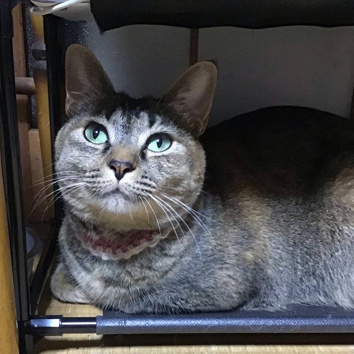 05683327 60dd 4b40 9760 5d16fdbbec82 1652876815113