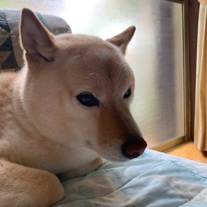 05685bd6 1e61 499e bb88 a5c75fb6719a 1656894444517