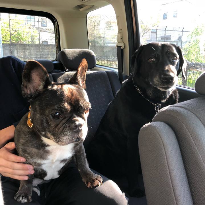 05689f3e e6c7 4d51 82f5 b0ad5af1be05 1524144027671