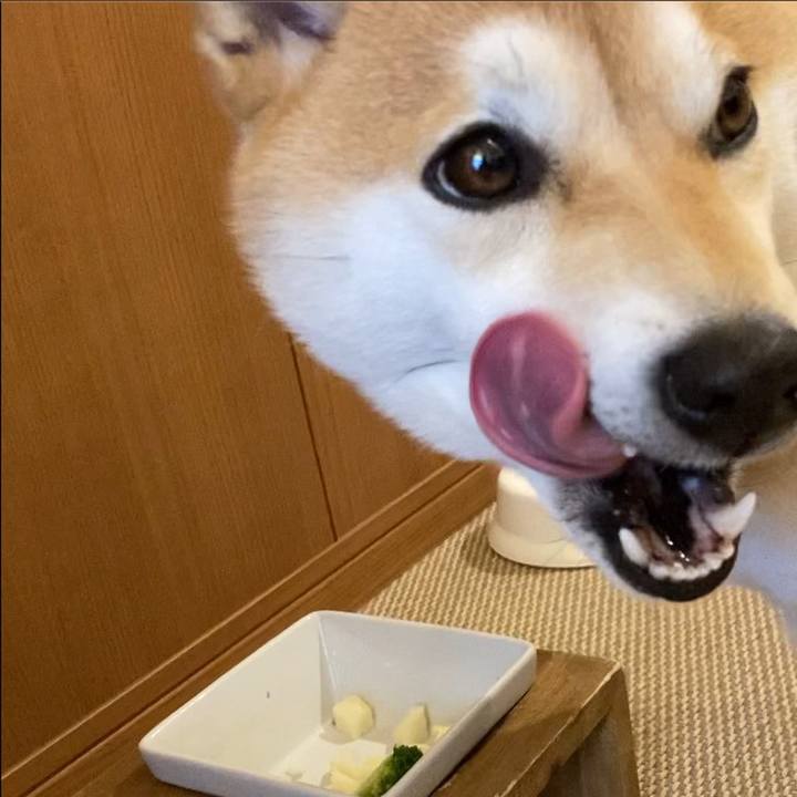 0568a990 6e4e 4d16 bb84 682697b8e06f 1677553766189