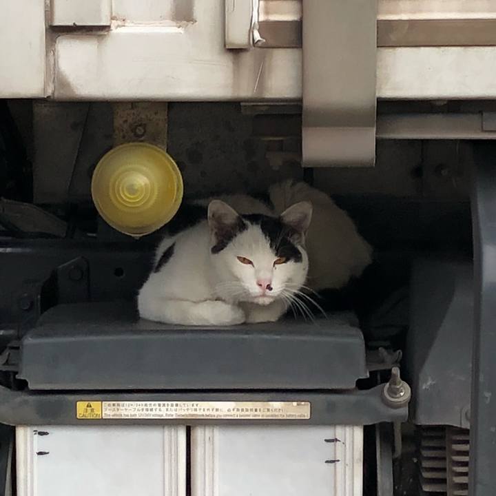 0568be1d 4e5b 4d06 838d 3379a71d6c20 1525079475537