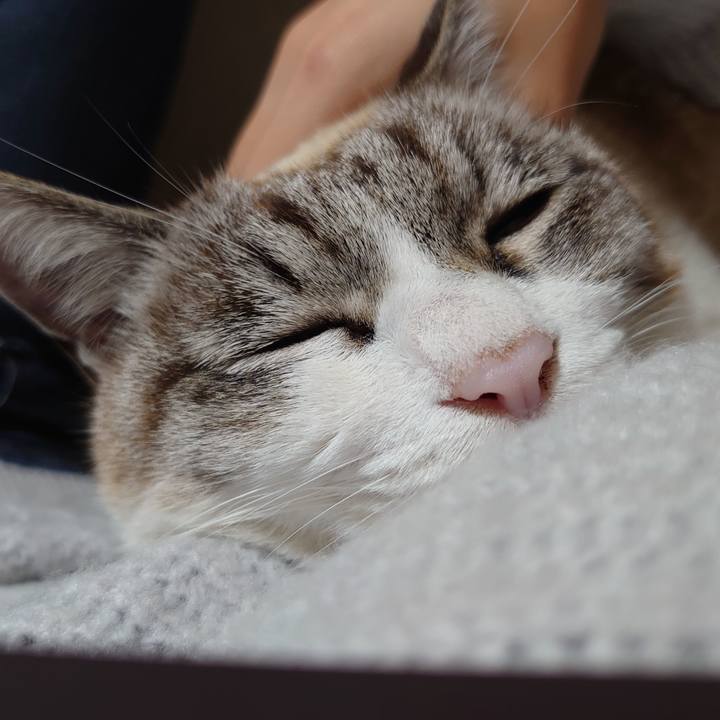 0568c387 369b 4053 b205 3fd9d6af60cb 1614337986953