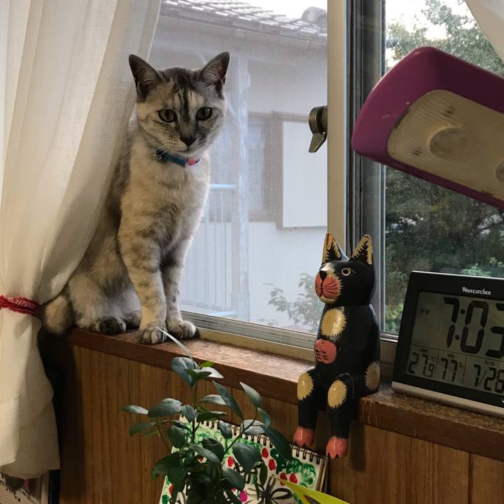 05690e47 0910 4cd9 9763 ab0b0ca5cafa 1595757880321