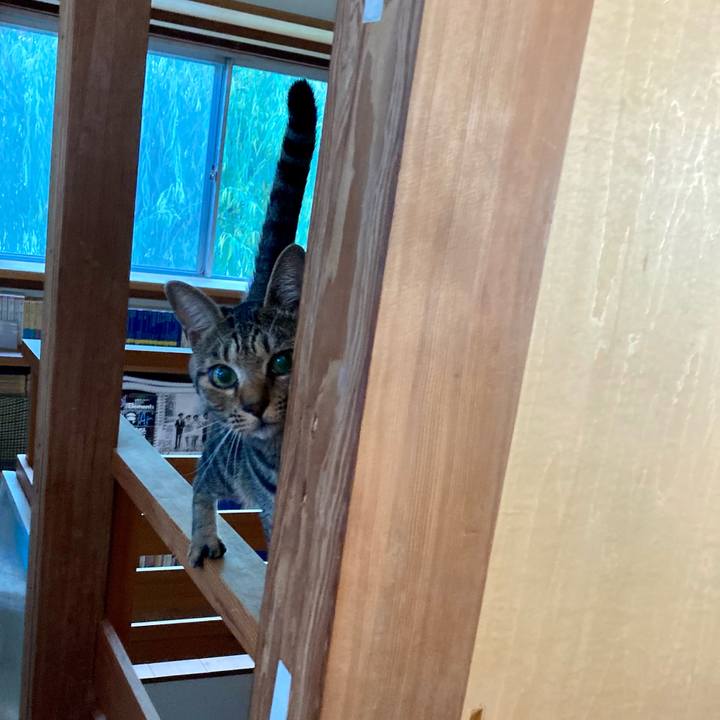 05690ecc 97a6 49d0 bb7d eb185dba9b16 1691067121656