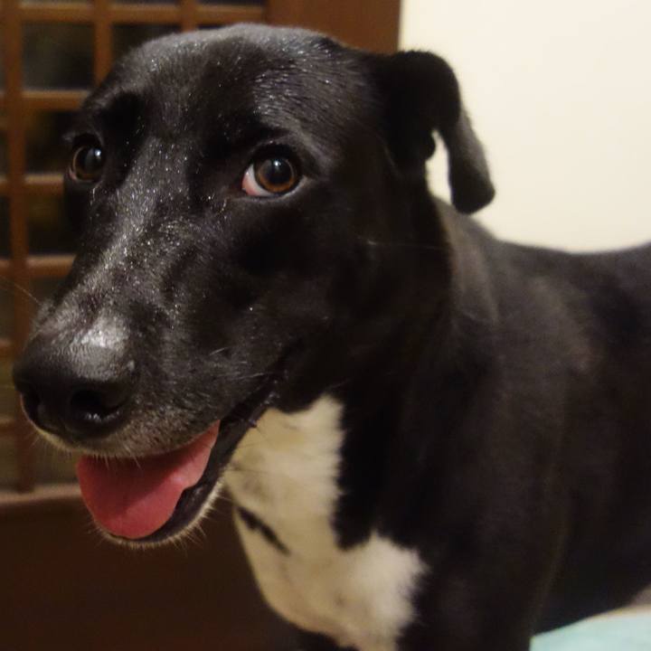 05690f7f ed02 44c3 87c5 e48fe2417c29 1602412288149