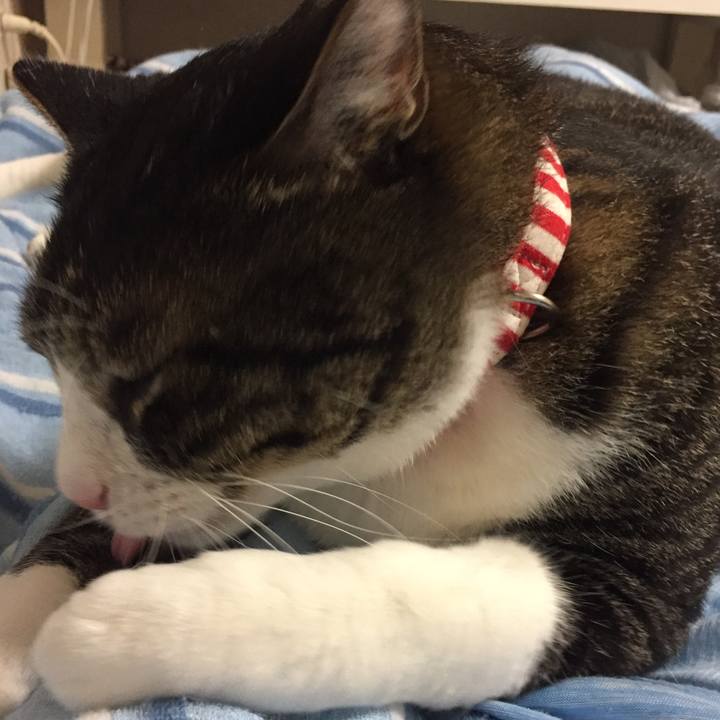 05692c0e 4f3e 4f89 bbfc 3312380145cf 1534078467122