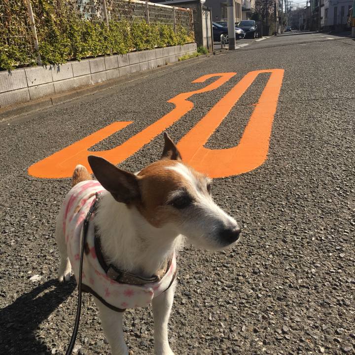 05697d9f fd31 40d4 9d93 0fb23a21037d 1616714792705