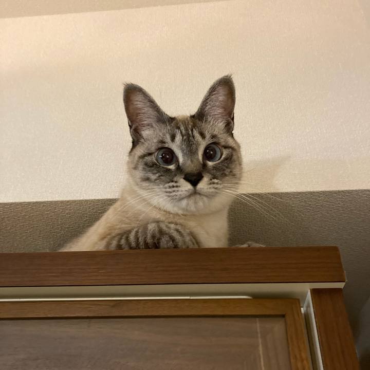 05698310 21cd 447b b4a0 361e930d0a43 1612100375603