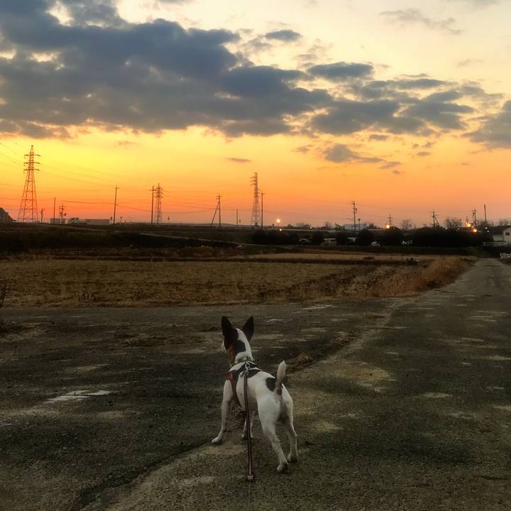 056983ba c6af 4a08 b090 64200cff1b8d 1516095896705