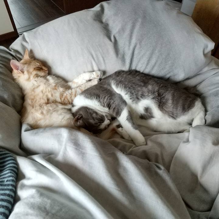 05698725 e016 490f 823e cf23399ac65f 1616893181254