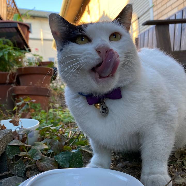 05698d08 2866 42ef a282 683a231e2ee3 1636247558887