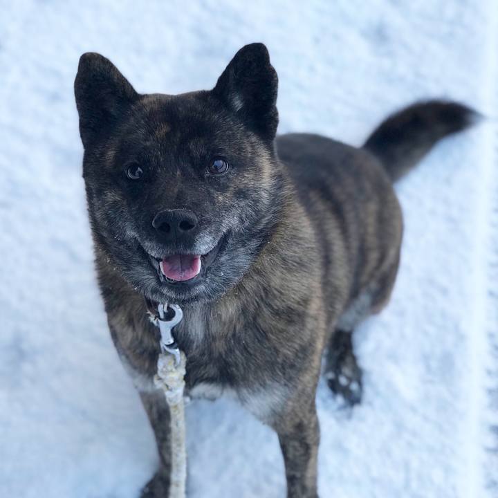 05699d13 f8f4 4d1f bc4b 3f5694bc6990 1548555486384