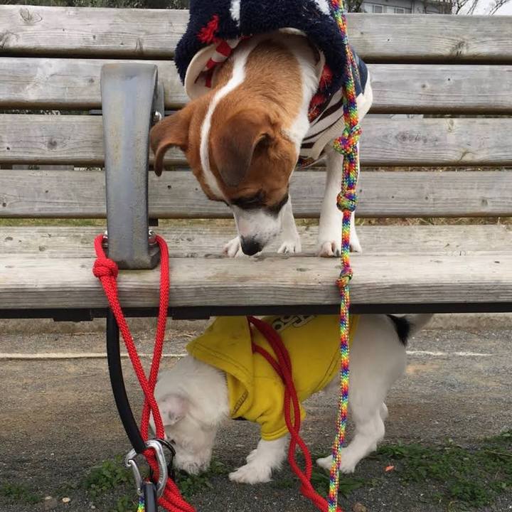 05699dd1 fb41 4a8d 848c 3c759aeddd2c 1679064164581