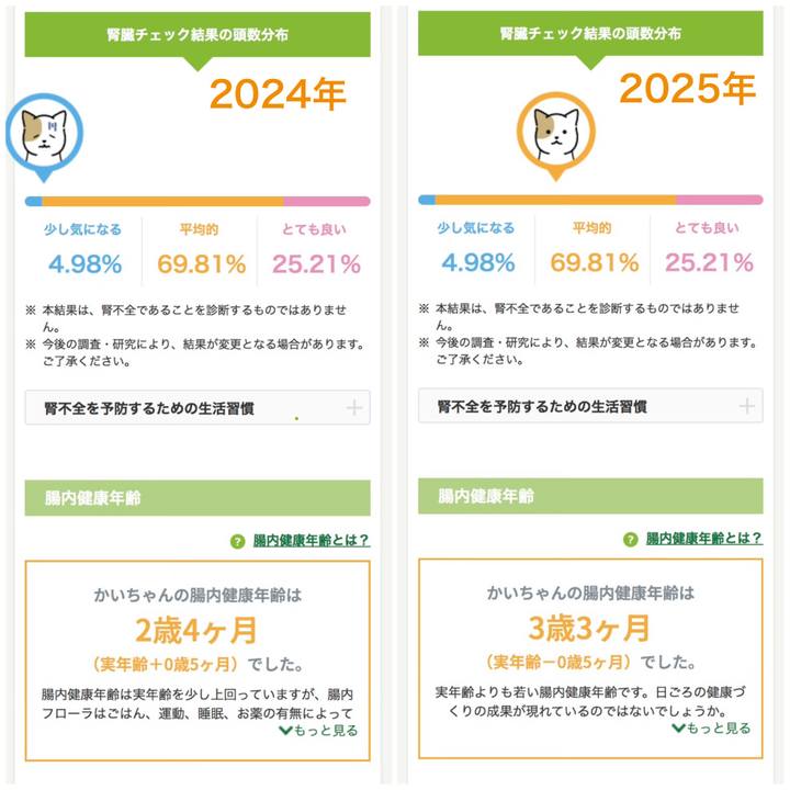 0569b5a5 d86a 4daa a243 3006d66c9121 1768965684275