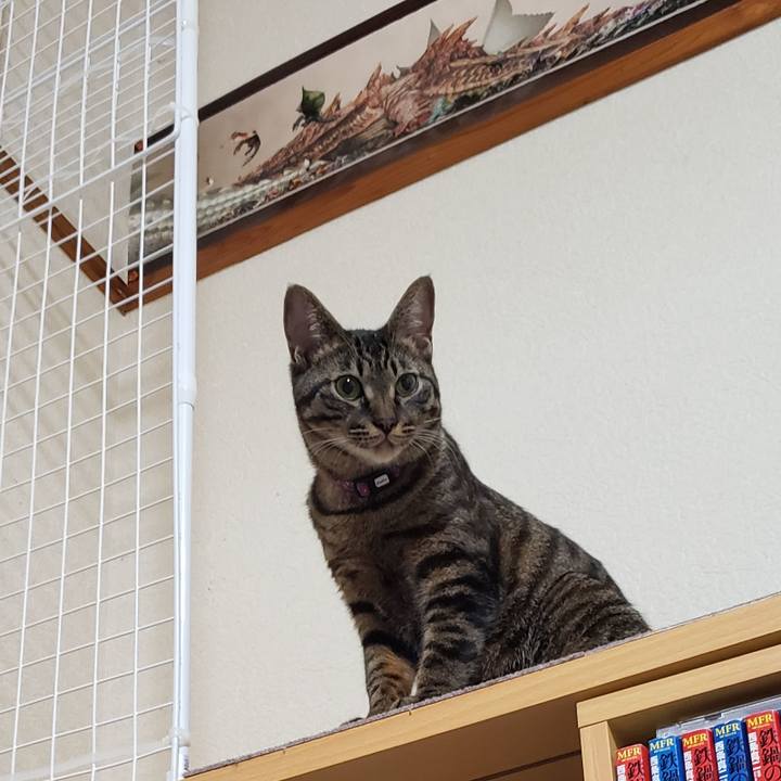 0569c938 e81b 4800 a423 630d42320239 1560696559998