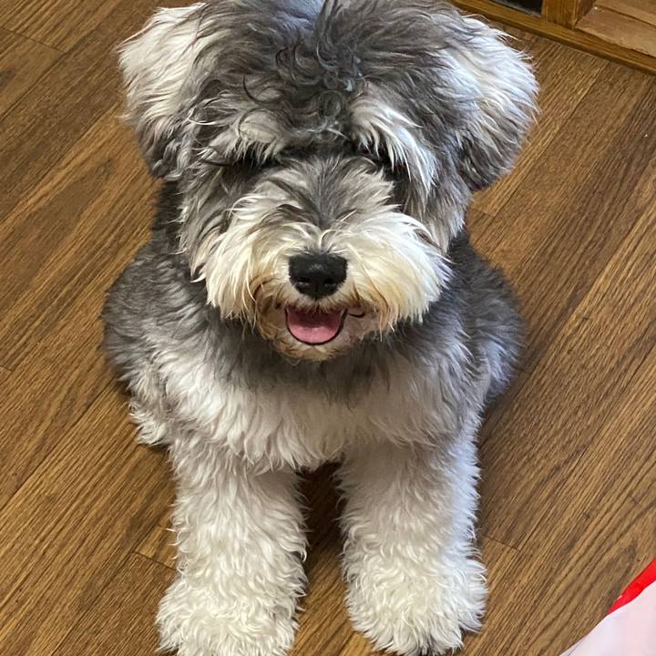 0569ca63 27f1 45c4 99a9 0df95cb9cf9a 1590720815700