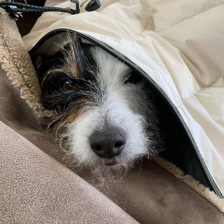 0569d401 bbb6 4479 99b8 f42801bdaffc 1673403540498