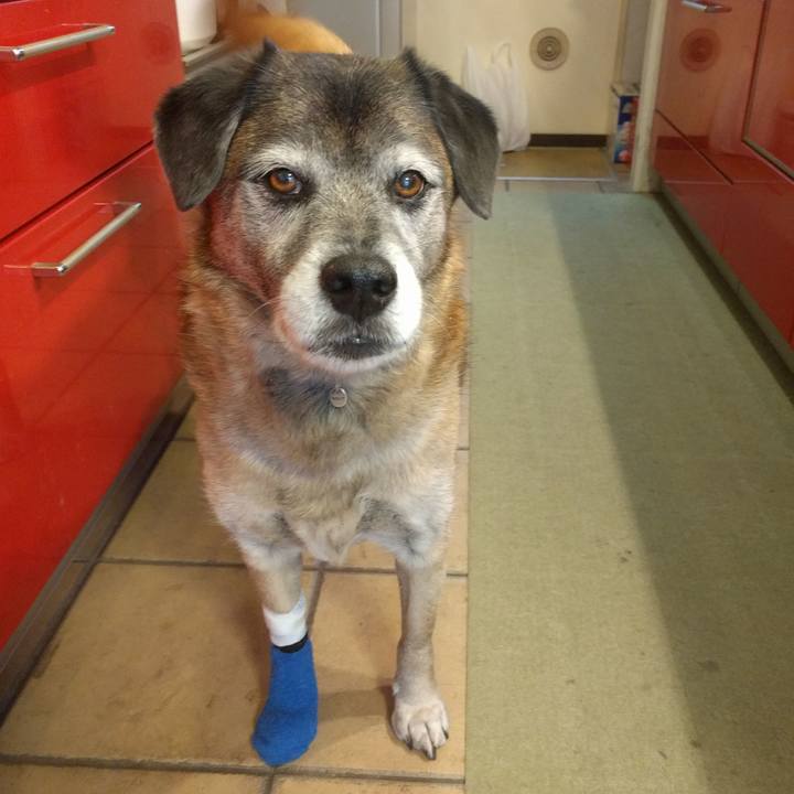 056a0e4e e324 41e3 9885 8f932ccb67ae 1550536665213