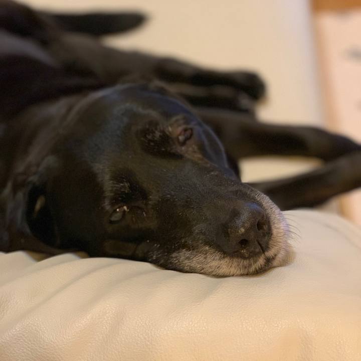 056a3eac 884b 44d4 af66 8577c303440c 1550704249249