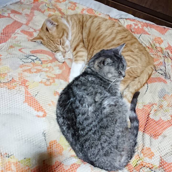 056a7225 f942 43e5 80c6 99068ac31ddd 1577450211335