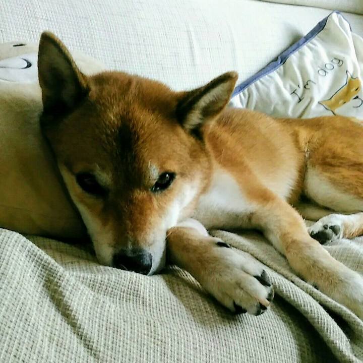 056a8d13 b296 4617 94dc 5008f0ad234a 1569803916645