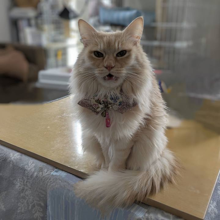 056a9e93 d1c0 4609 818a 46a7bba1e2e6 1770868659733