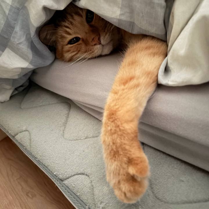 056aa6e7 077c 4ce1 89bd d7eabd078054 1764978219402