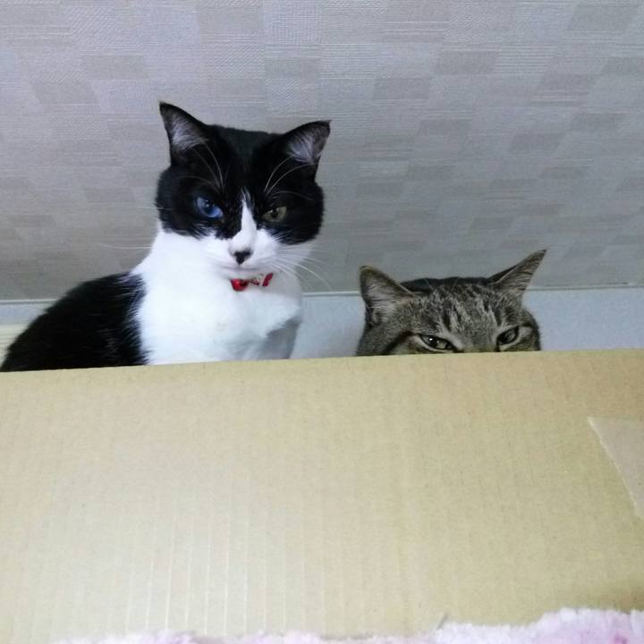 056abc95 1bc2 4f12 923d 0a5aa7927adf 1511524300579