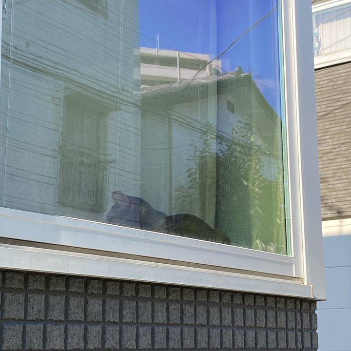 056ac50e d145 42e8 8c20 abac1233dacd 1662813598817