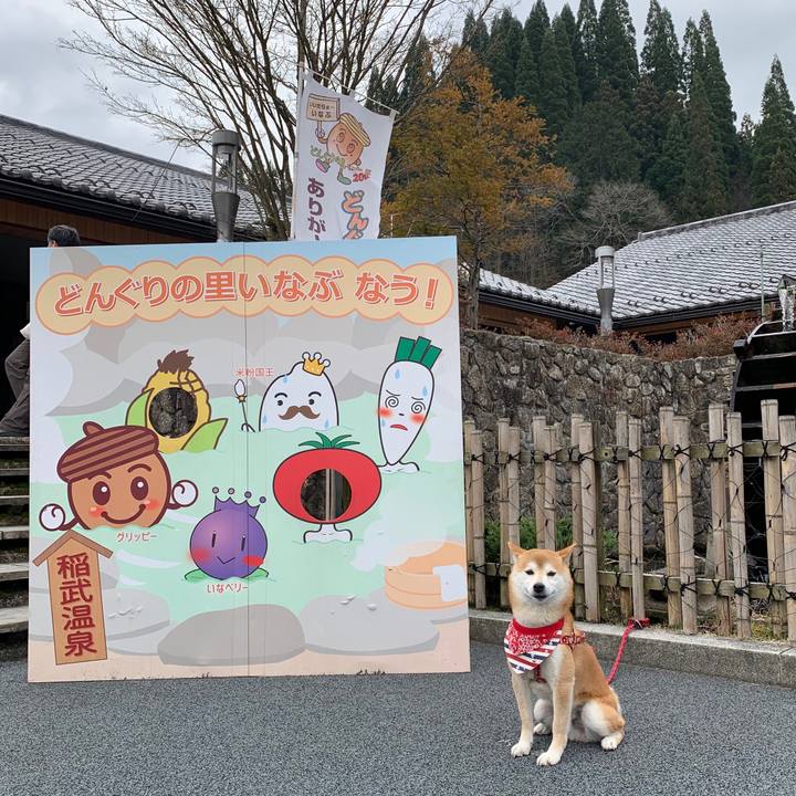 056ad877 f169 423c 8b21 68c59cdabf38 1584873220494