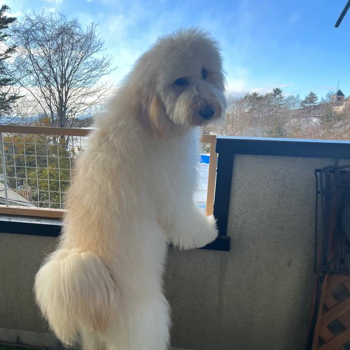 056ae3b5 aa57 4dbb 9e62 33a8da83d24b 1738022514738